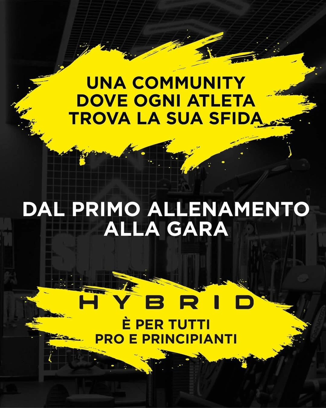 Hybrid Attrezzo 3