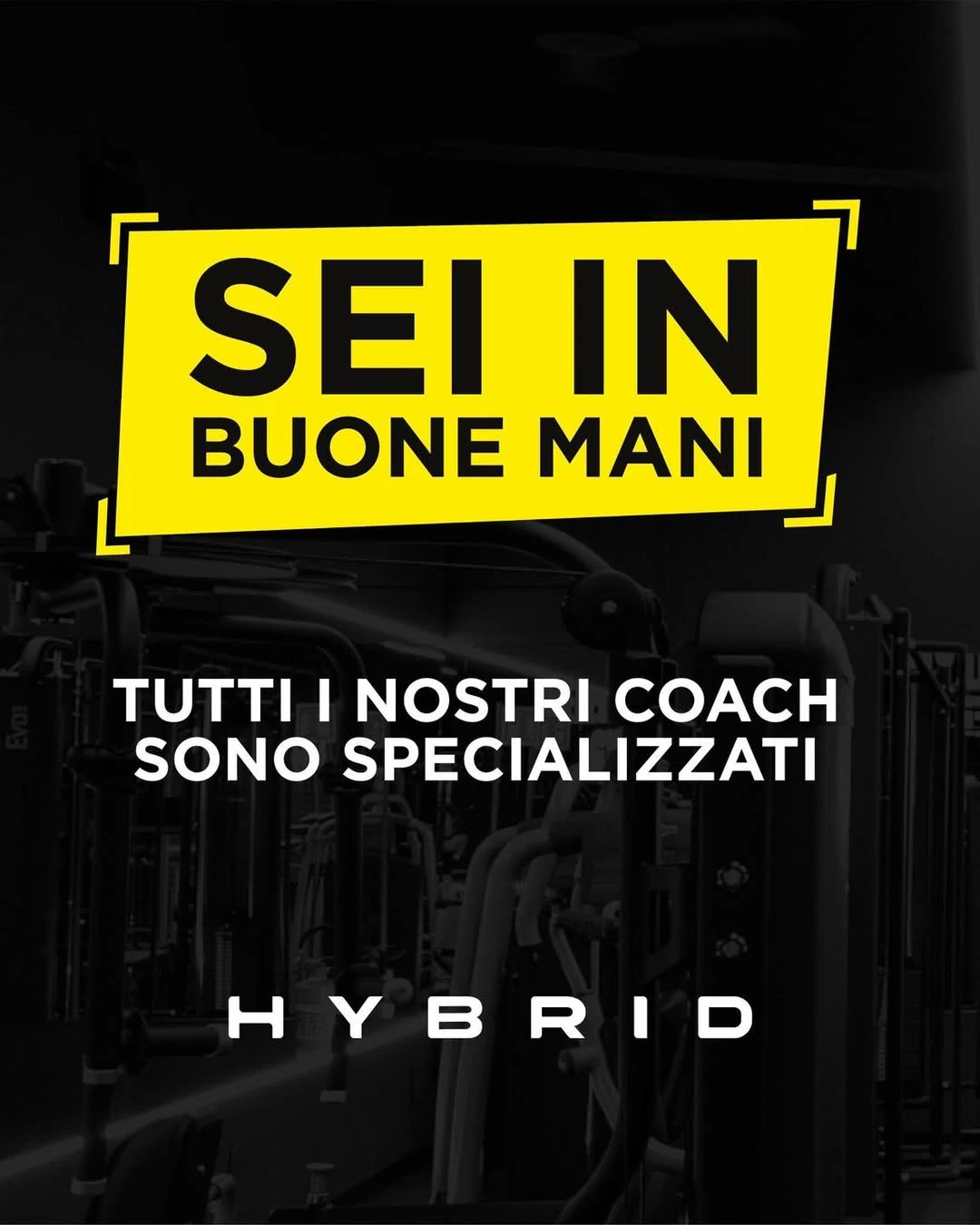 Hybrid Attrezzo 4